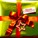 blocks_image